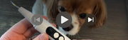 Pet Ultrasonic Tooth Cleaner